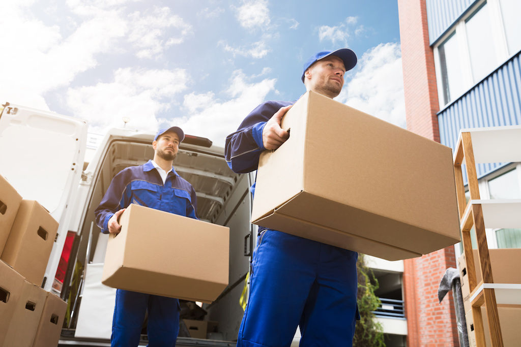 Movers carrying boxes